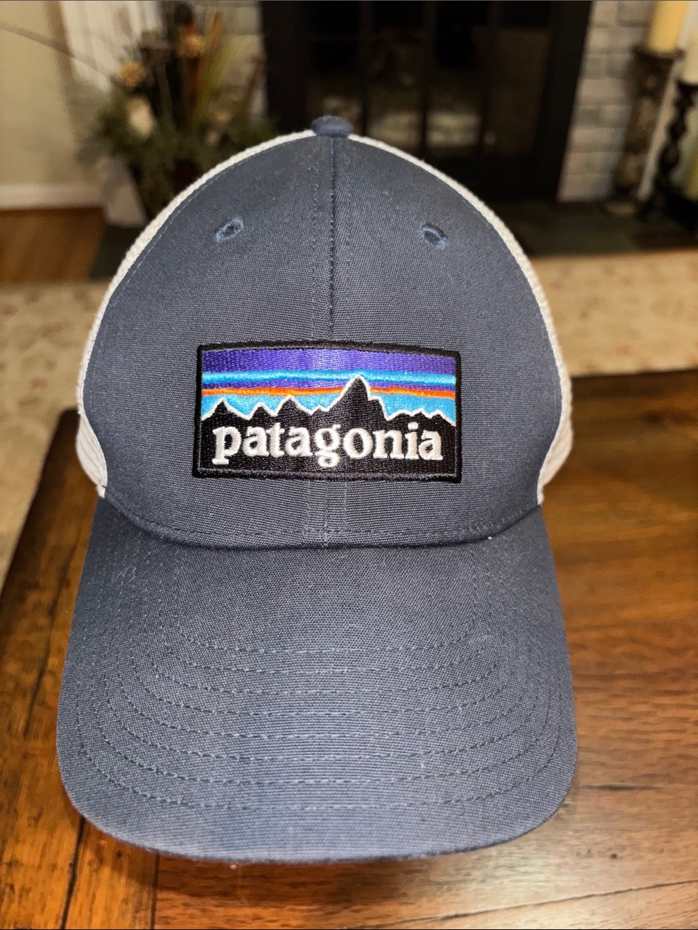 Patagonia Navy and White Trucker Hat with Multicolor Logo